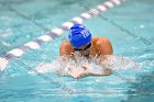 Swimming & Diving vs Babson  Swimming & Diving vs Babson College. - Photo by Keith Nordstrom : Wheaton, Swimming